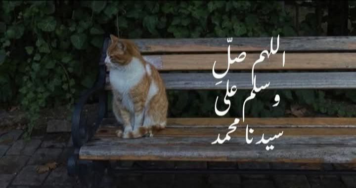 إنَّ البرَكةَ لتَغْمُرُ العبدَ