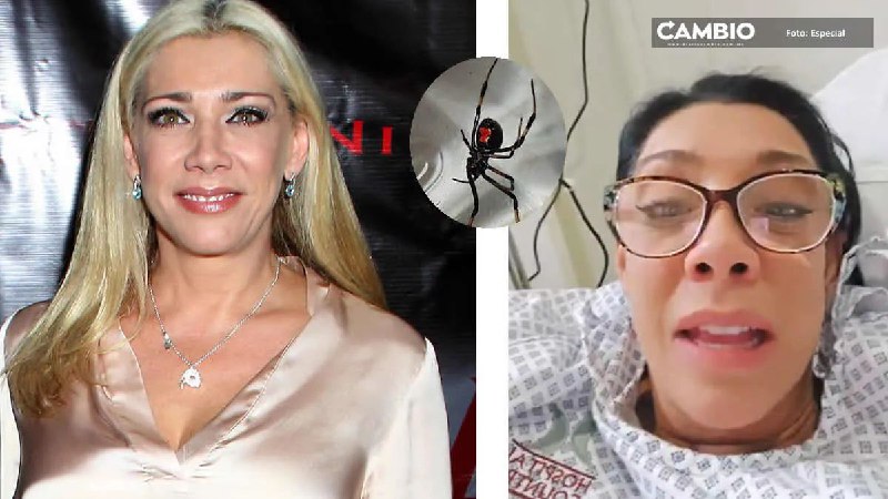 ***😱******🕷️*** Cynthia Klitbo hospitalizada de emergencia …