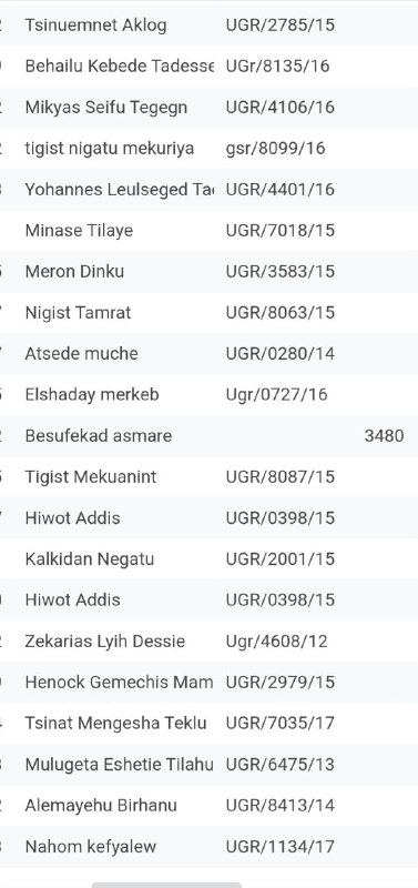 The ELEC [ኤሌክ] Team — Official