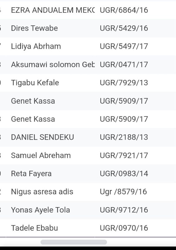 The ELEC [ኤሌክ] Team — Official