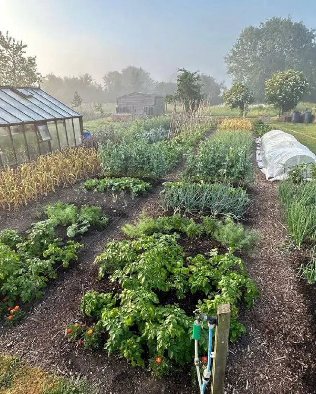 ***A*** beautiful and healthy farm from …