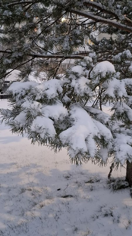 16.12 луна в Раке