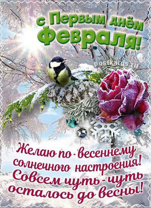 Elena_lris_Garden🌷🌷🌷