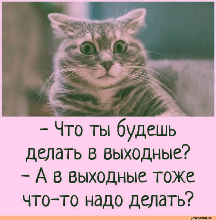 **Какой он - идеальный выходной?**