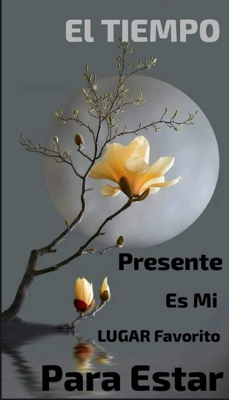 ***✅*** El tiempo presente es mi …