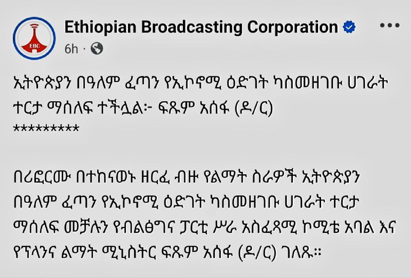 የተባበሩት መንግስታት ድርጅትን ጨምሮ መንግስት ራሱ …