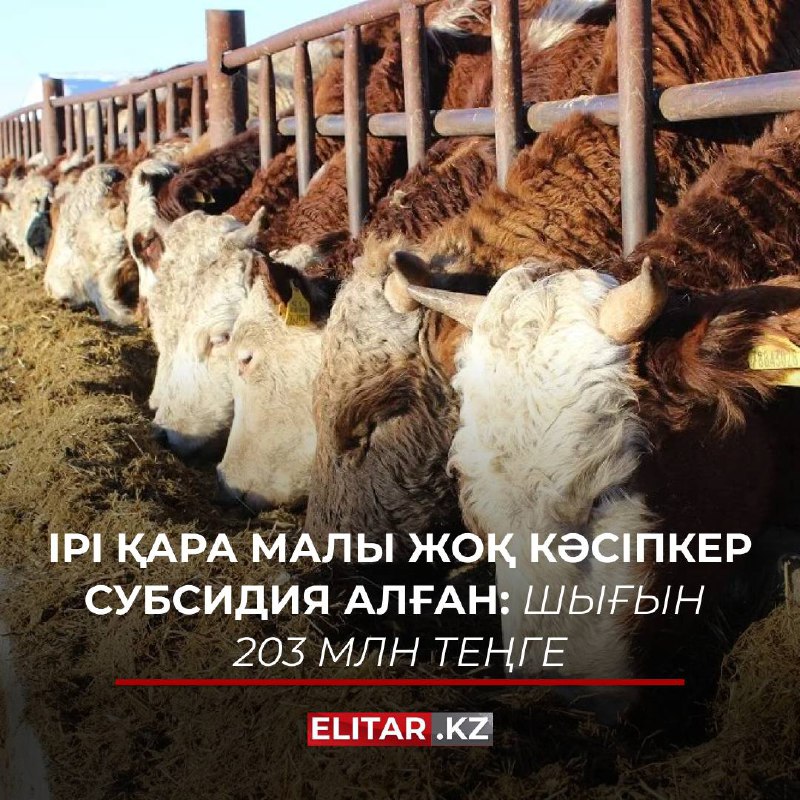 *****🐄***Түркістан облысында мал шаруашылығына бөлінген 200 …