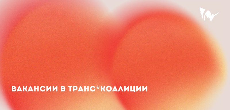 ***❗️*****В Транс*Коалиции открыто три вакансии!**