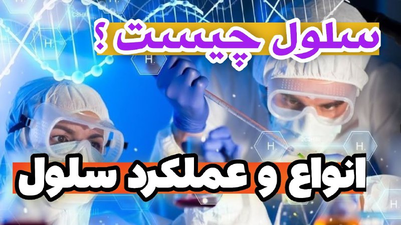 سلول چیست و انواع و عملکرد …