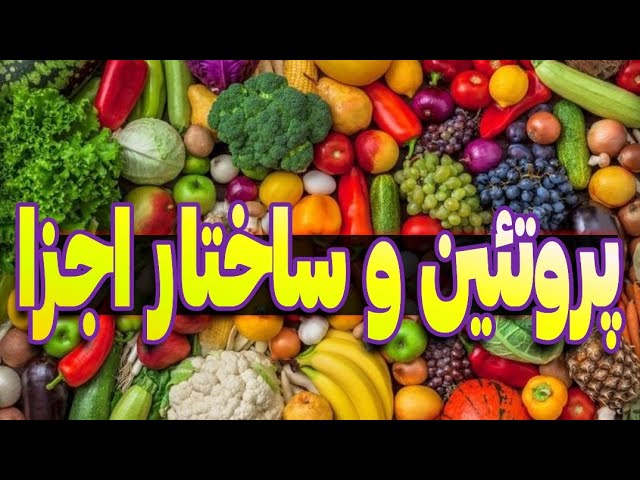 پروتئین چیست ؟ ساختار و اجزای …