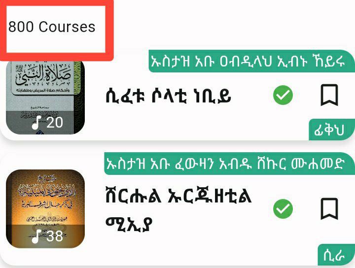 **800** ኮርሶች ተጭነዋል።