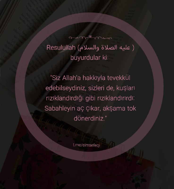 ***Resulullah (عليه الصلاة والسلام ) buyurdular …