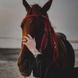 ڵـ ٱڵــمـشـُـُُـُآيي ݺ﮼♡
