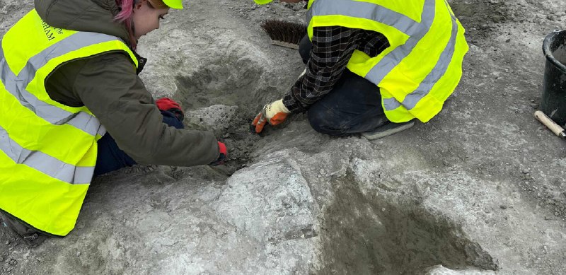 ***?******??***Encontraron una "autopista de dinosaurios": el …