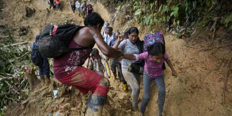 ONU advierte del trauma de los …