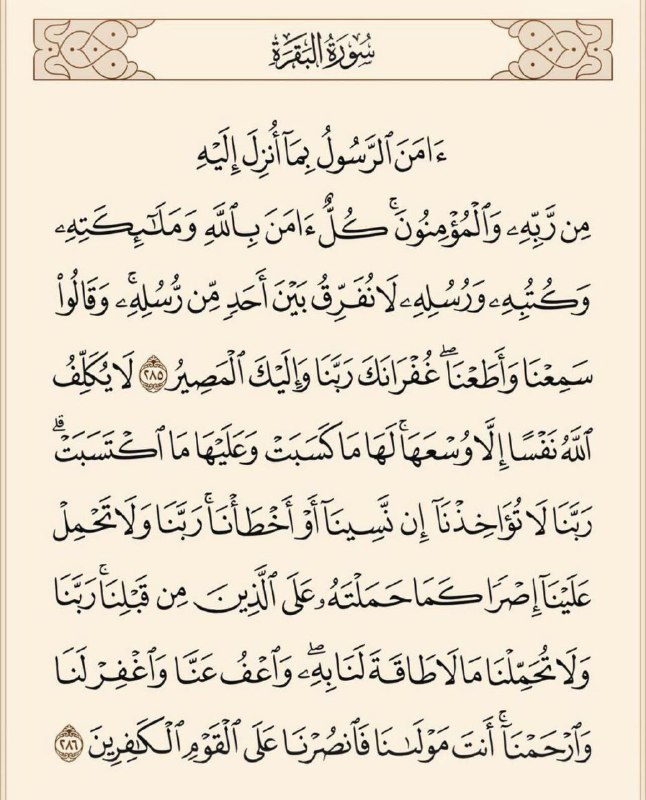 لعلها المُنجية