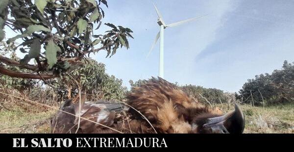 **Denuncia ecologista | Ecologistas en Acción …