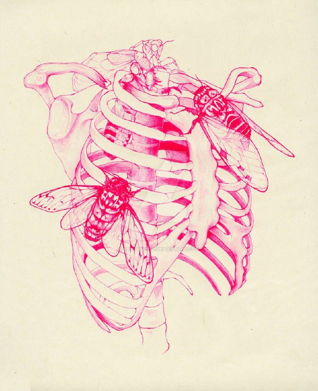 [*Cicada Cage*](https://www.deviantart.com/reminisense/art/cicada-cage-pink-582546754)