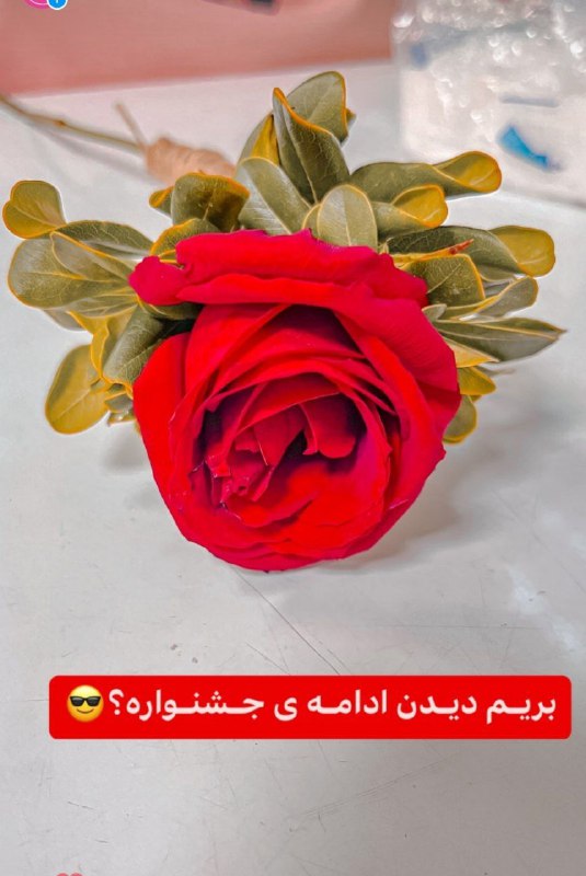 سلام سلام