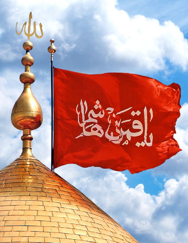 ༻﷽༺