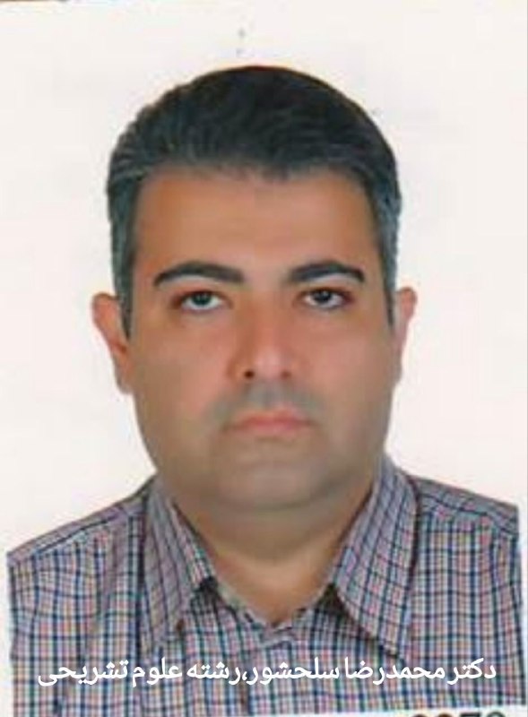 نگین سلامت کرمانشاه