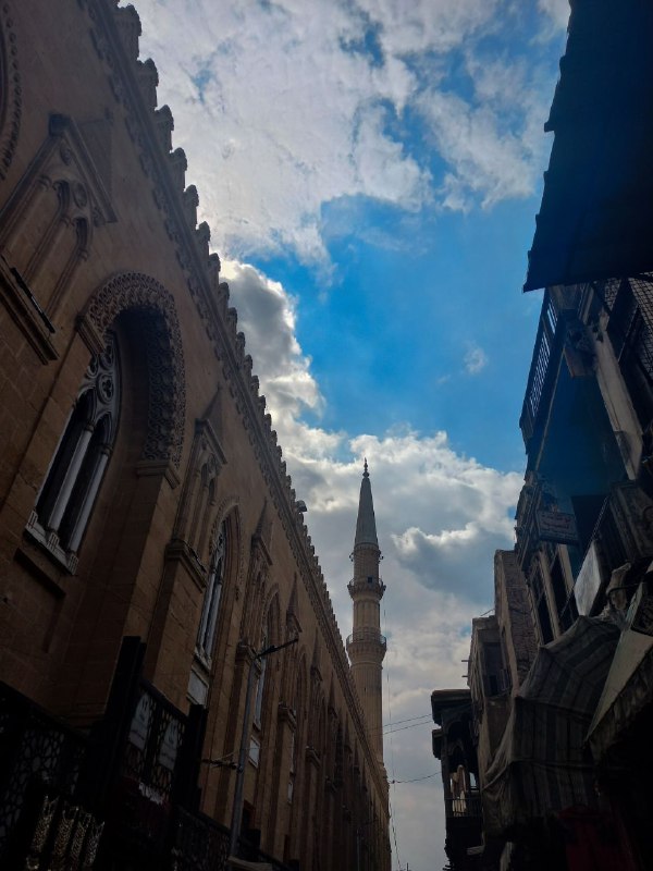 هذا الجَمالُ الَّذي يستأنس الألمَا.