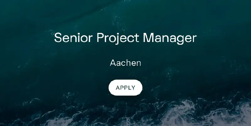 ***🆕*** Senior Project Manager