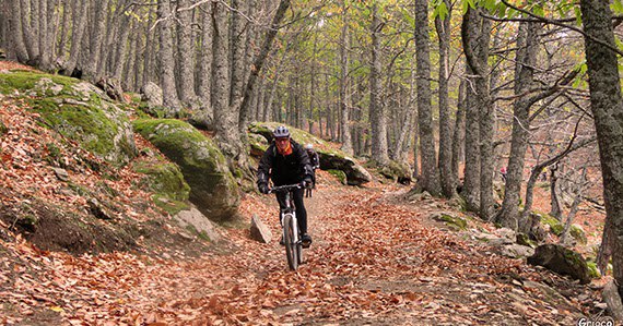 Ruta MTB: Castañar de El Tiemblo. …