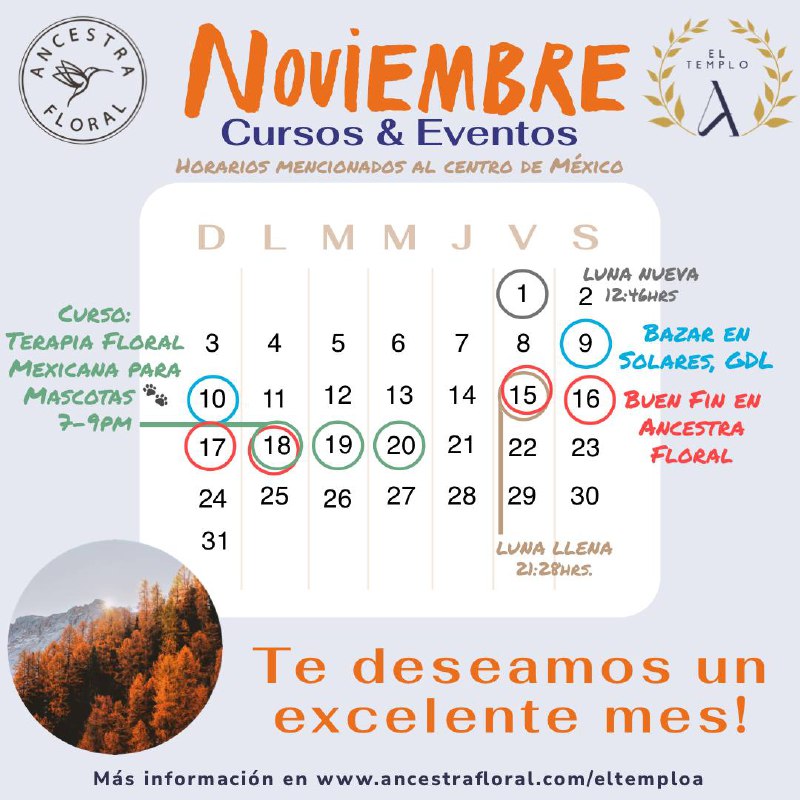 Te invitamos a nuestras actividades de …