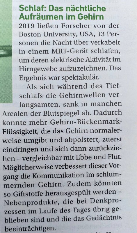 Schlaf wichtig für das Gehirn!