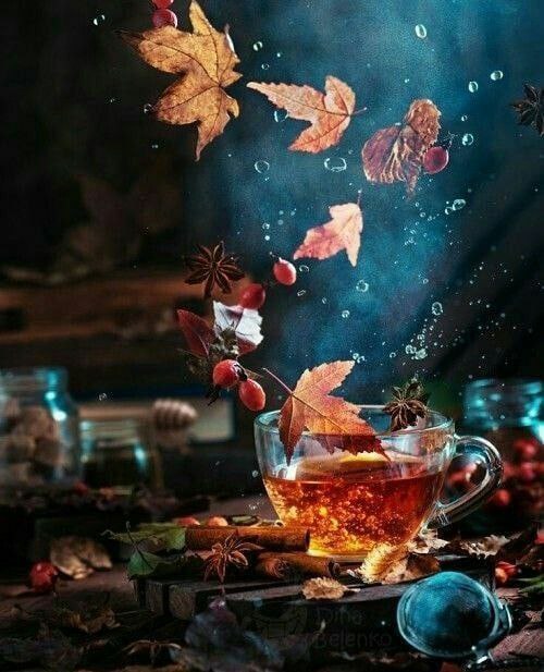 ***❣***زمانی به موفقیت و ارامش میرسید …