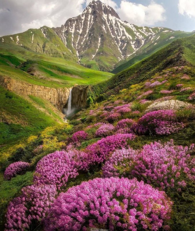 **خود واقعی بودن در جهانی که …