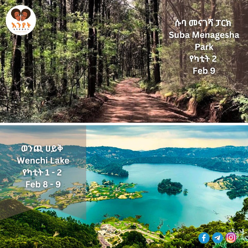 በዚህ ሳምንት ያሉ ጉዞዎች | Trips …