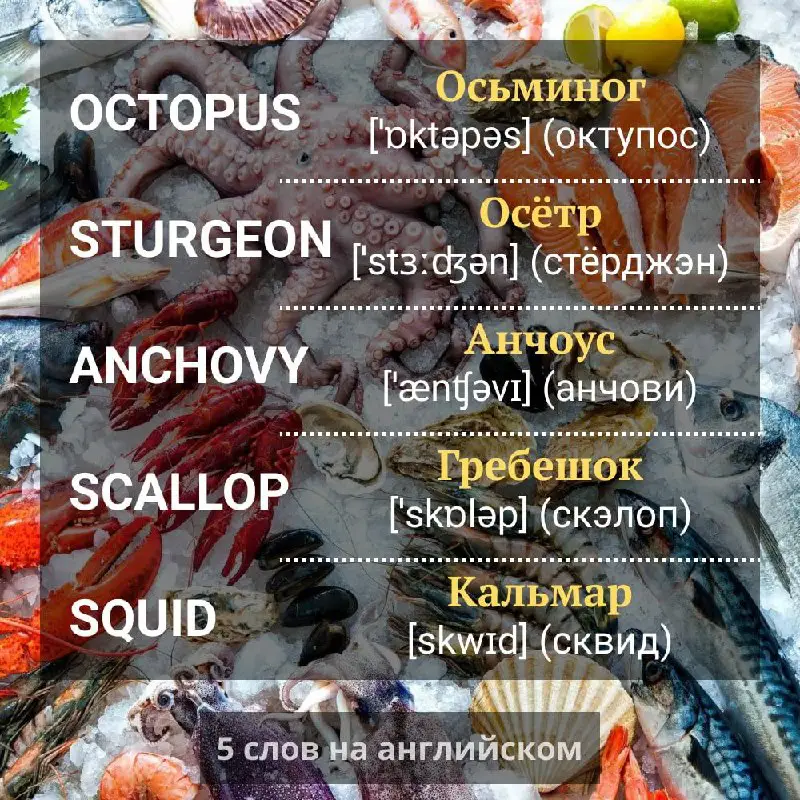 5 слов на тему "**морепродукты**" ***🦐***