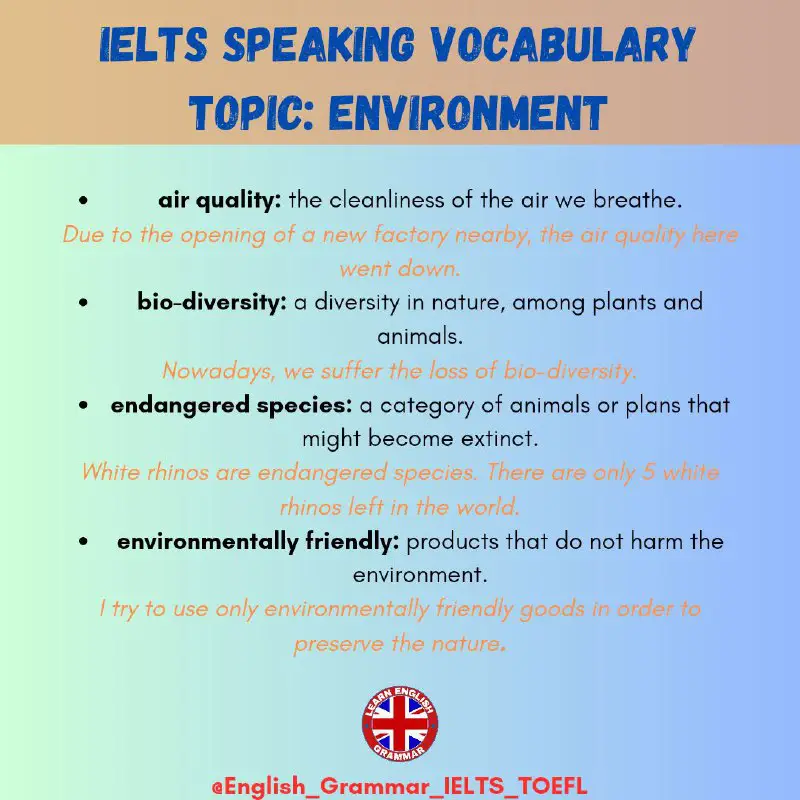 Daily English Grammar and Vocabulary