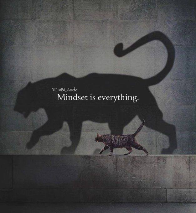 ***Mindset is everything***.°