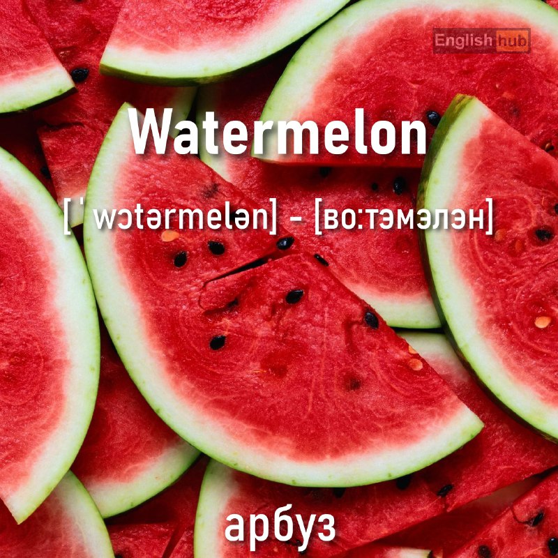 [#visualdictionary](?q=%23visualdictionary)