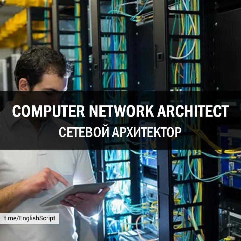 **COMPUTER NETWORK ARCHITECT [kəmˈpjuːtə ˈnetwɜːk ˈɑːkɪtekt] …