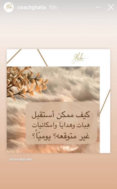 🌻Entesar🌻زهرة الحياة🌻
