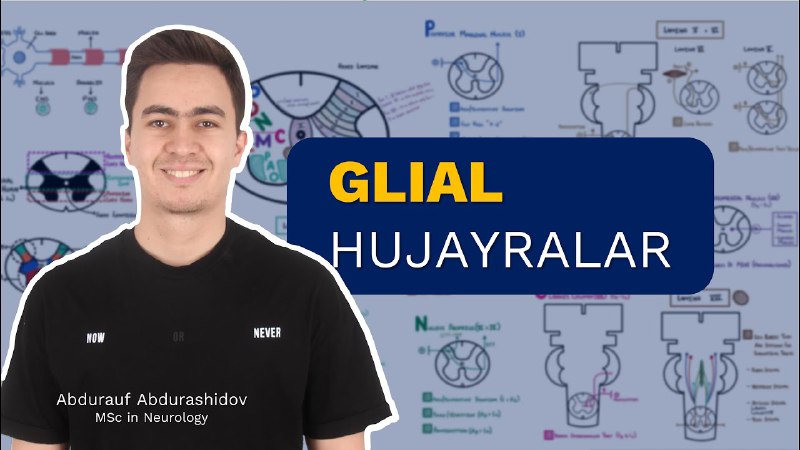 **Glial hujayralar**