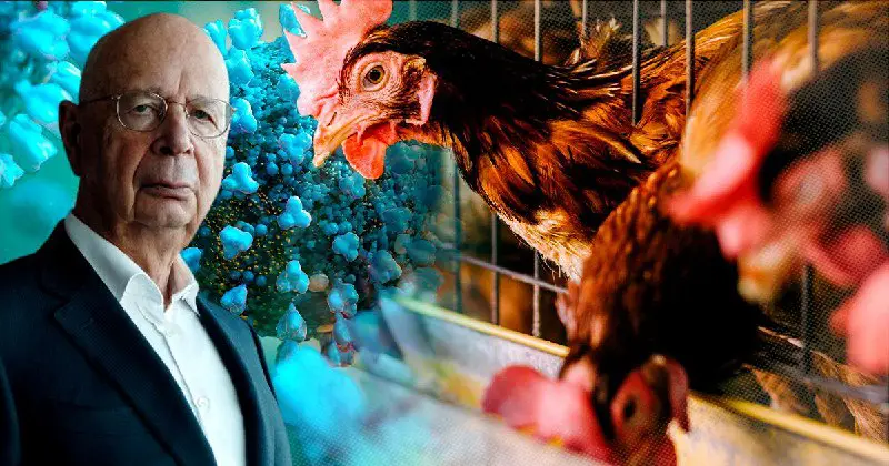 Hoće li WEF izdati naređenje vladama da se proglasi ratno stanje zbog ‘neposredne pandemije ptičje gripe’ koja će zahvatiti svijet