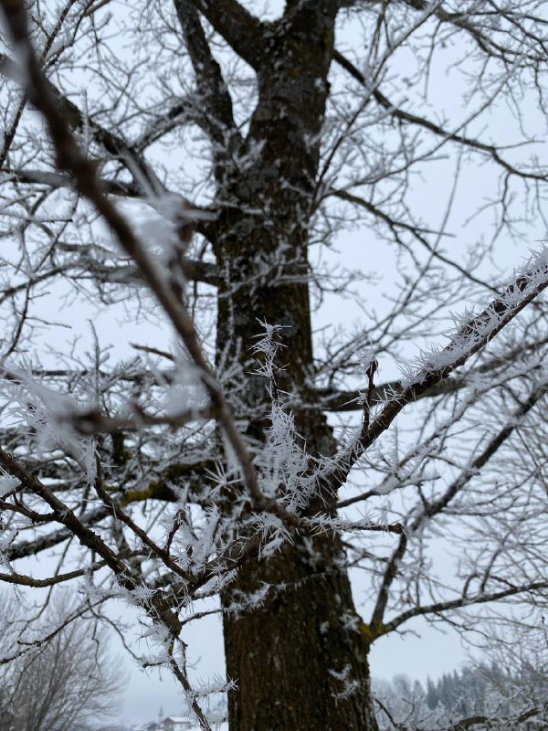 Gestern die ganze Landschaft mit Kristallspitzen …