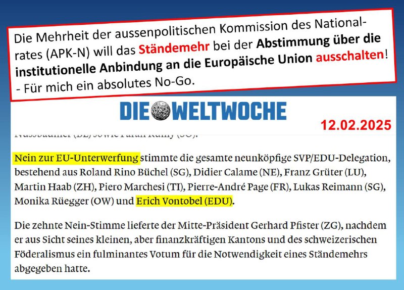 Dieses undemokratische Vorgehen gibt mir zu …