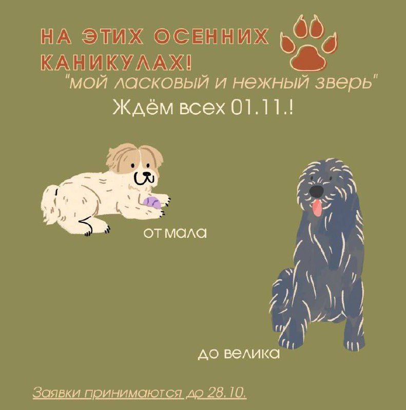 ***ЛЮБИТЕЛЯМ* ***🐶******❤️*****