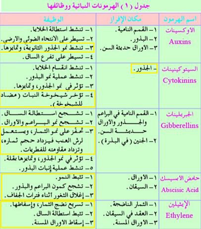 عصام يسلم احمد Biology