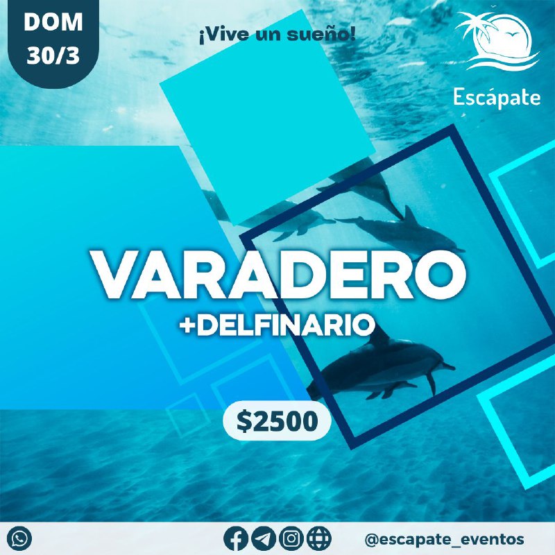 Escápate🌴 y vive un sueño✨