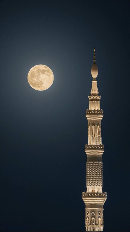 سنهاجر يوماً الى السماء