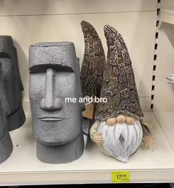 Gnomepilled