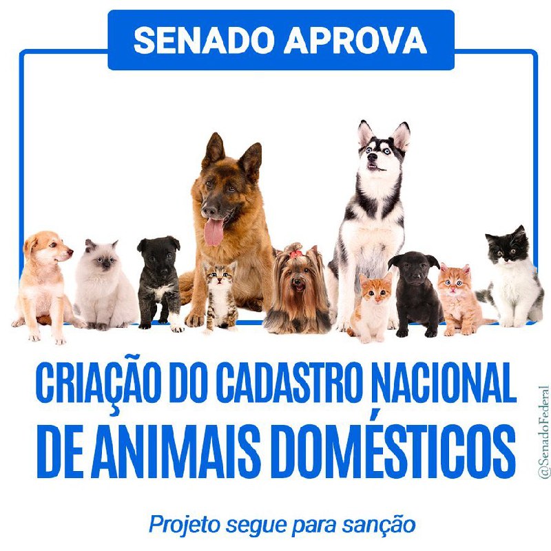 O verdadeiro significado da palavra "cadastro": …