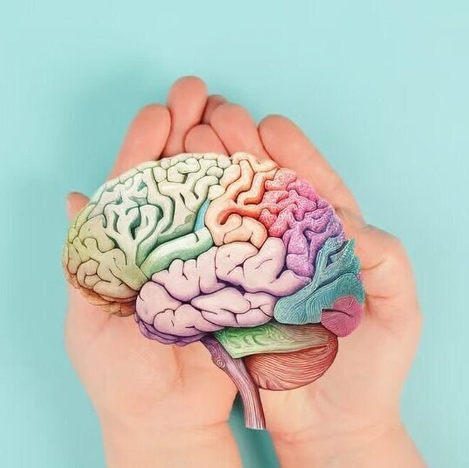 **استرس و کوچک شدن مغز !***?*****